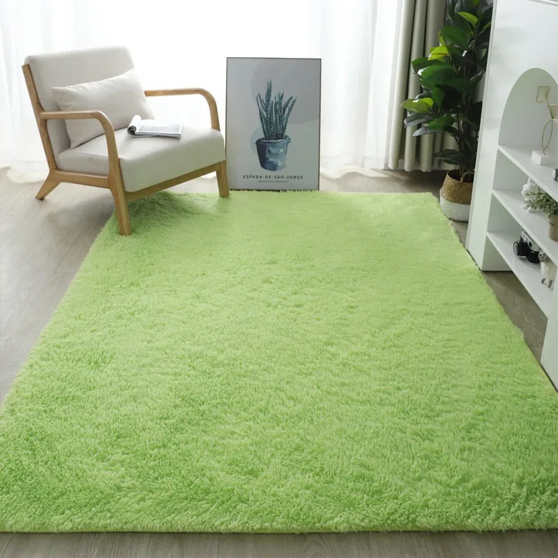 Thickened super soft silk wool living room bedroom bay window leisure girl bedside room large area full of carpet floor mat