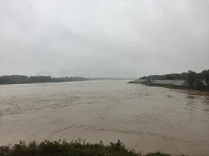 

T Motor T Hobby Cine 55A 3-8S 32-битный 128K 8-в-1 Filmic ESC для контроллера F7 Pro, FPV-дронов Freestyle Cinelifter X8, запчасти для DIY-сборки