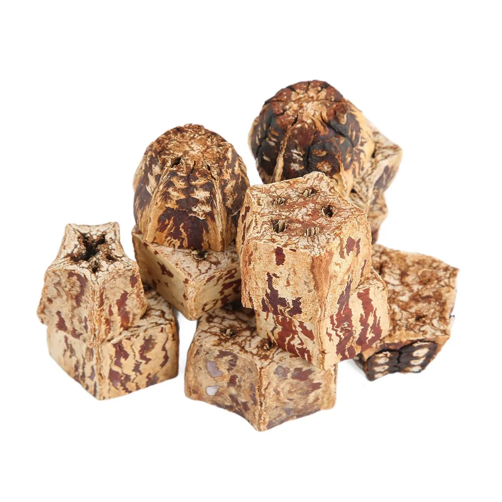 60pcs Pure Mahogany Bird Chewing Blocks Five Pointed Star Shape Sliced Pods Craft Bird Bite Nuts Decorative Design