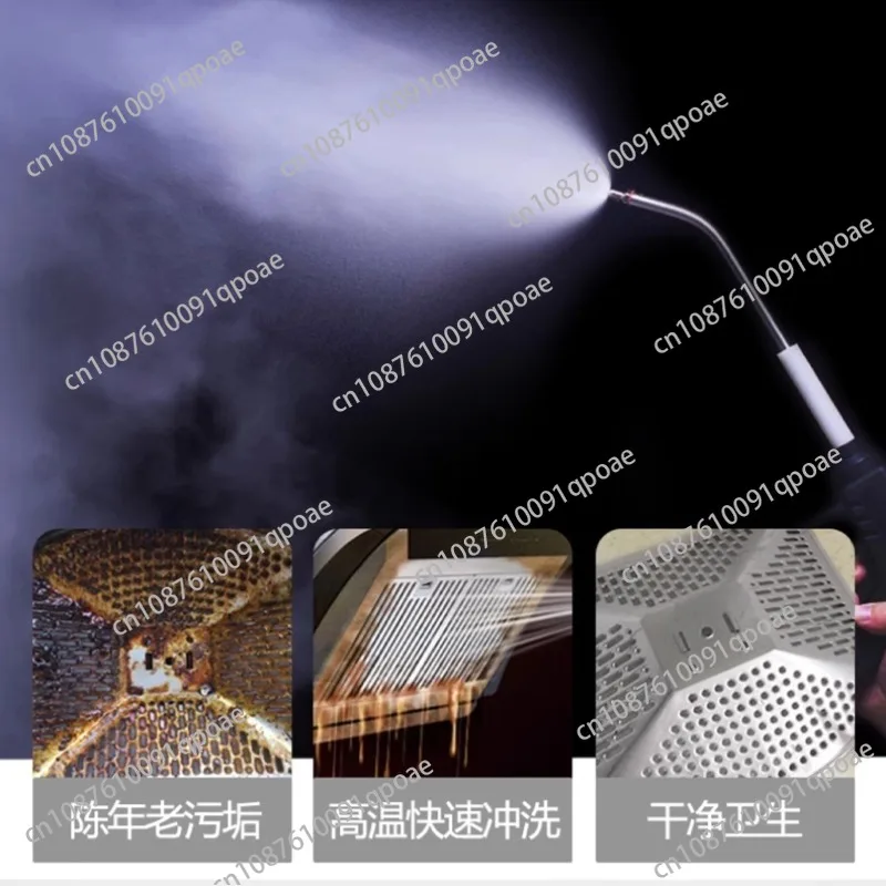220V Sofa Carpet Steam Cleaner with  for Car Household Hotel Cleaning
