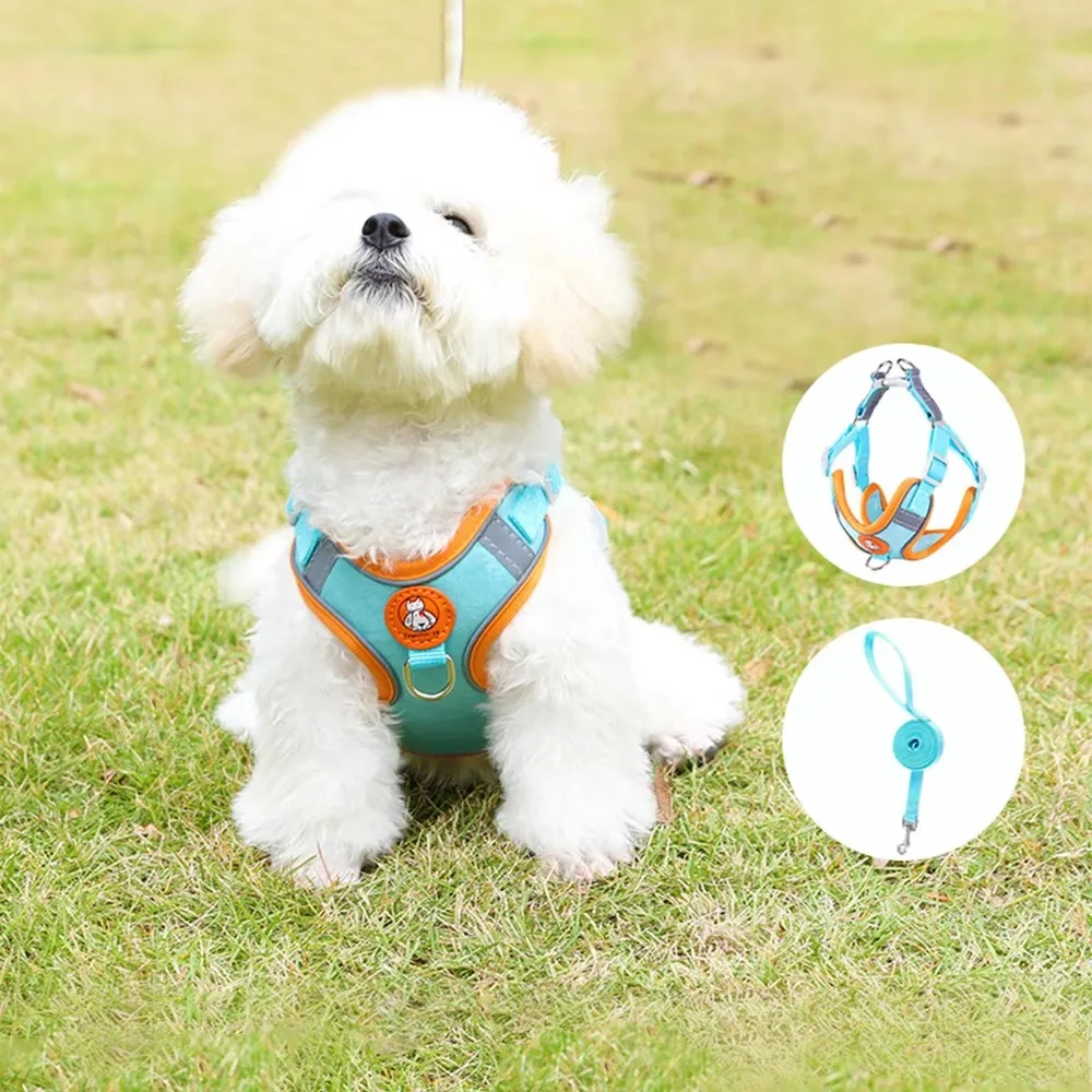 #33 Compare Pet Harnesses Before You Buy