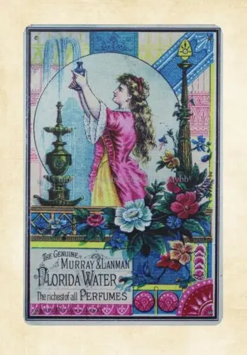 Florida water Pretty Lady Fountain metal tin sign living room wall