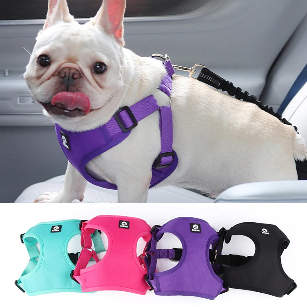 #1 Trending Dog Car Safety Harnesses Right Now