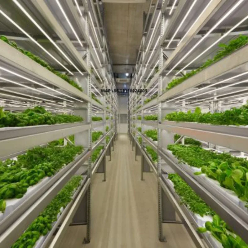 Large Smart Farm Shipping Container Vertical Farming Hydroponic Growing System with Climate Control Automatic Work Greenhouse