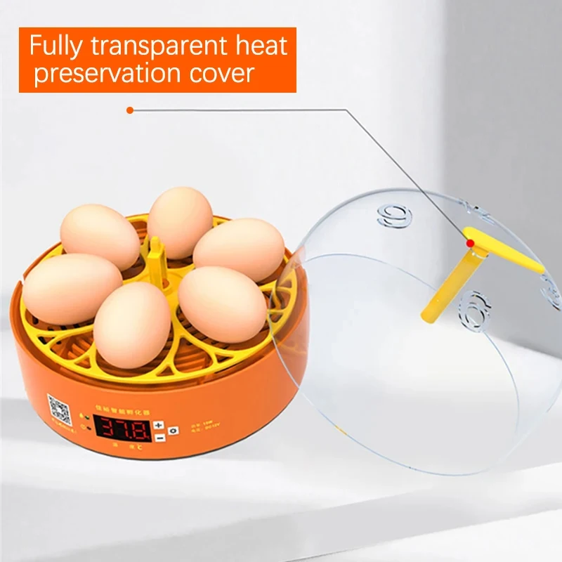 6 Eggs Incubator Fully Automatic Turning Hatchery Incubator Brooder Machine Farm Animals Egg Digital Temp Control Incubator