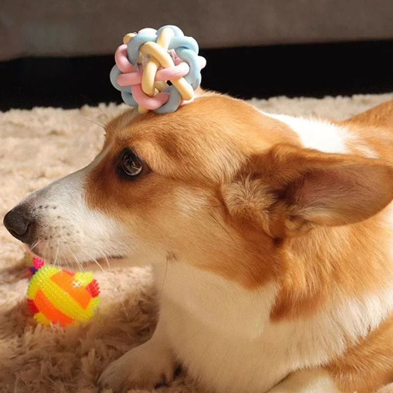 Hot sale Colorful bell shaped woven toys popular anti dog bite rubber pet chewing game ball picking cat and puppy toys