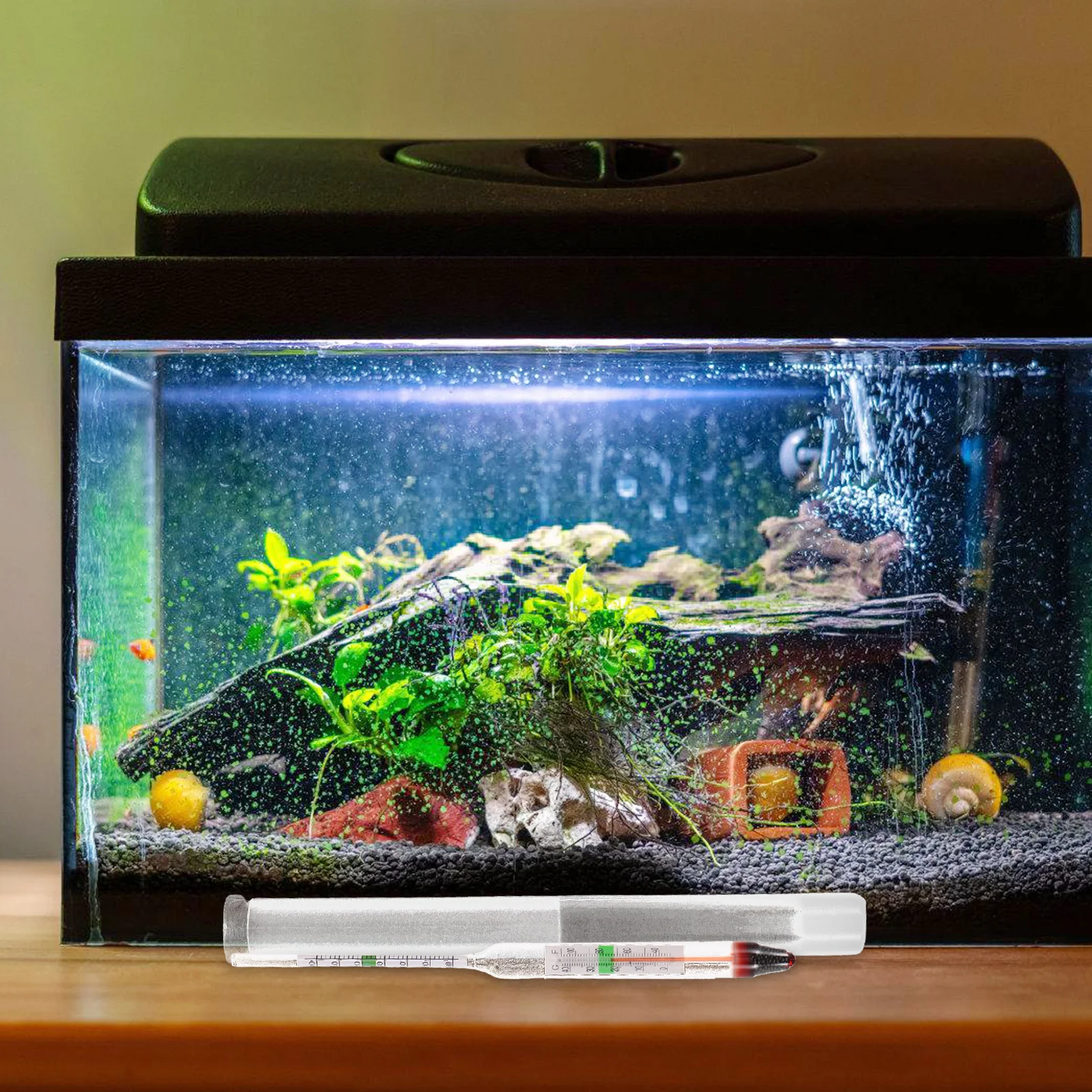 مجموعة واحدة من مقياس الملوحة المائية المائية مقياس سلالة المياه الزجاجية لاختبار الملح الموثوق به لتربية الأحياء المائية في حمام السباحة