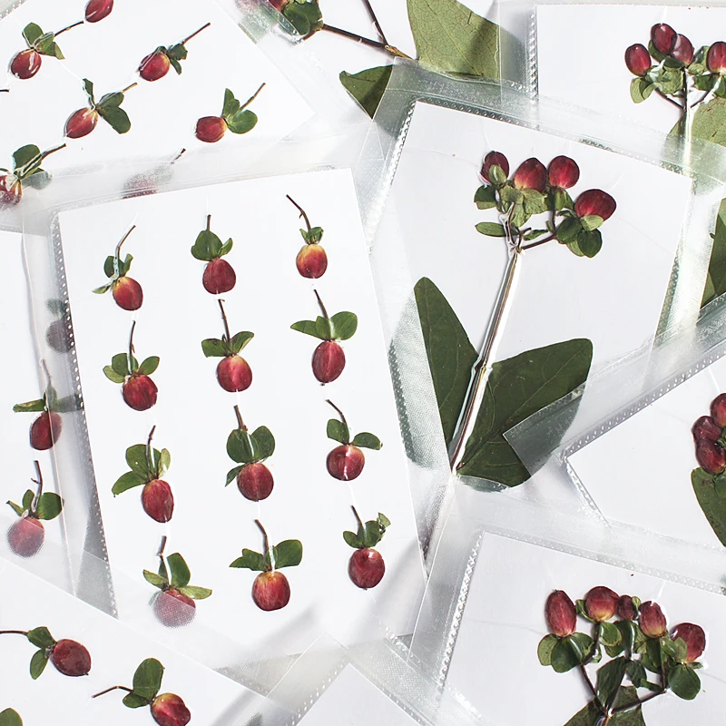 Pressed Flower Frame - New Premium Branch Original Color Pressed