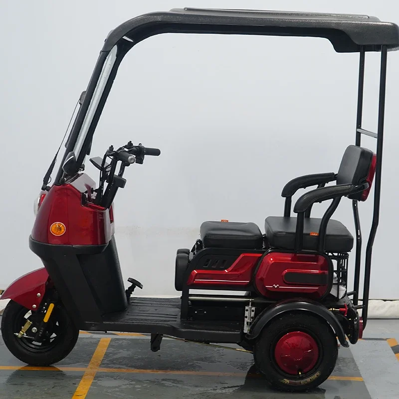 Electric Adult Tricycle Fatbike from China Ebike tricycle Custom color MOTOR Power Bicycle for passenger and cargo use