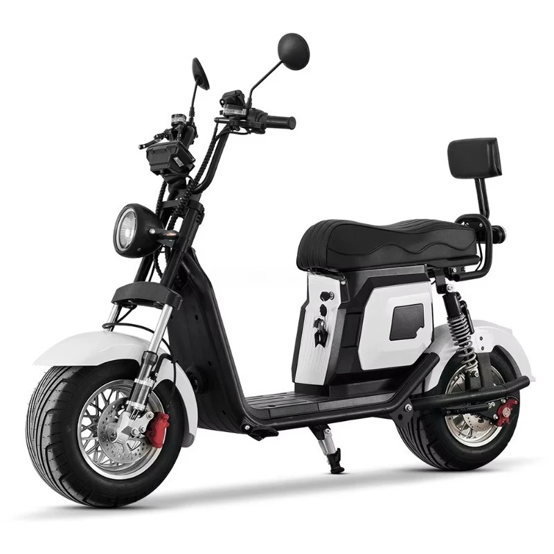 2 Wheel Citycoco 1000W 60V Scooter Electric Motorcycle for Adult