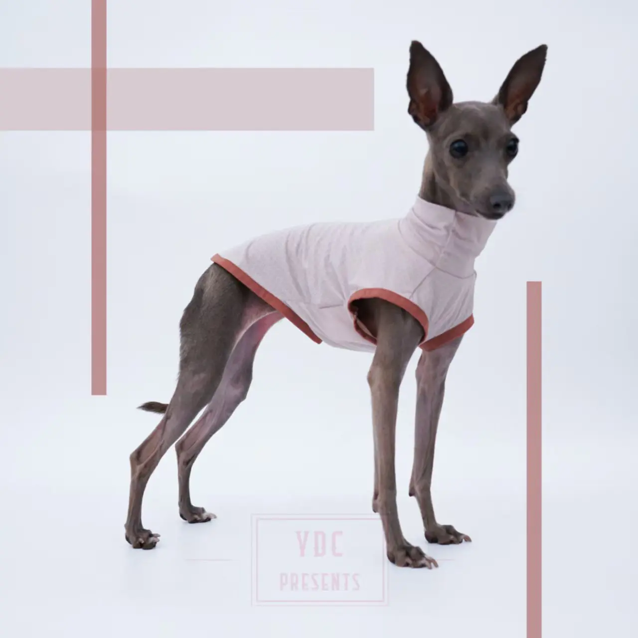 

Italian Greyhound Clothes Summer Cool Sensation Dog Vest Ultra Soft Breathable Lightweight High Elasticity Sporty for Dogs