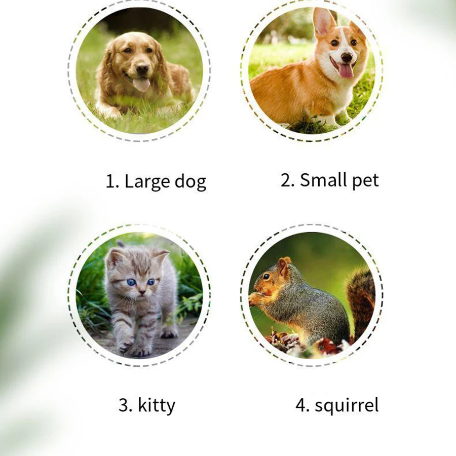 1 Battery Pet Electric Nail Polish Remover with 1st Gear Speed Suitable for 2 AAA Batteries, Suitable for Cats and Dogs