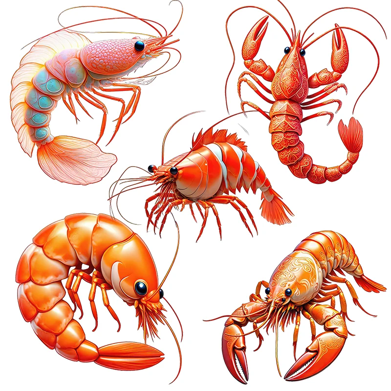 Three Ratels CG273 Funny shrimp cartoon animal wall stickers for home decoration car body decals