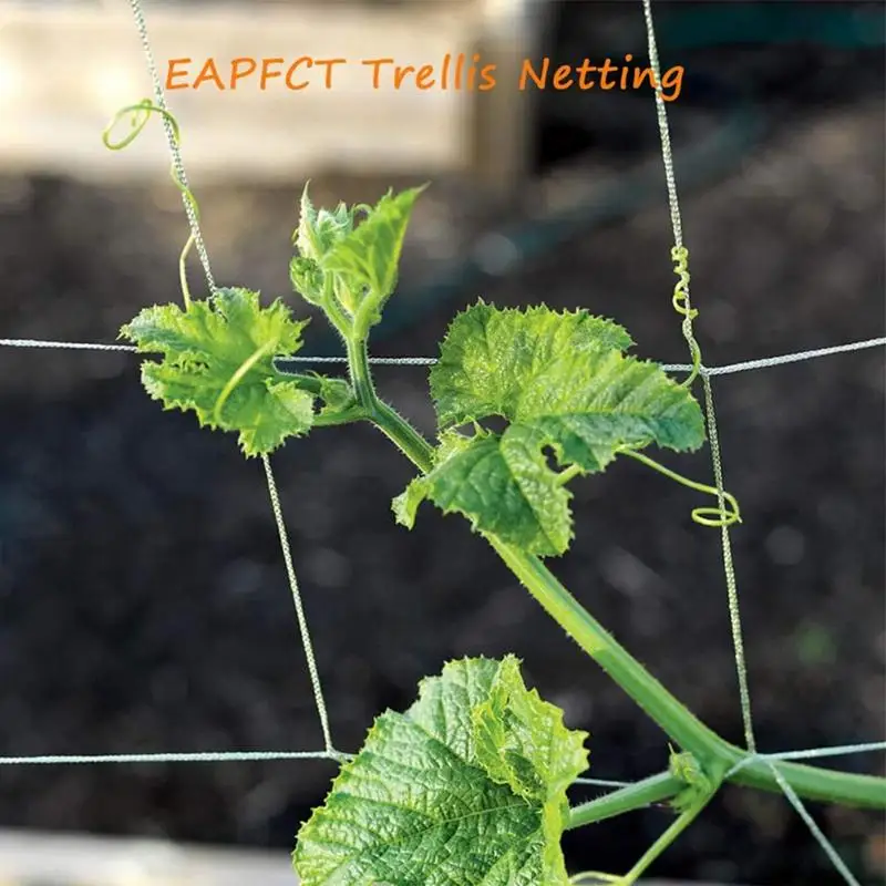 Garden Netting For Climbing Plants Heavy-Duty Cucumber Netting Flexible Garden Trellis Elastic Garden Net For Grow Tents