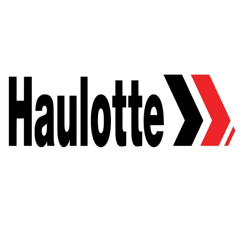 Motor Controller 2901001630 4000313170 for Haulotte Optimum 8 Compact 8 10 12