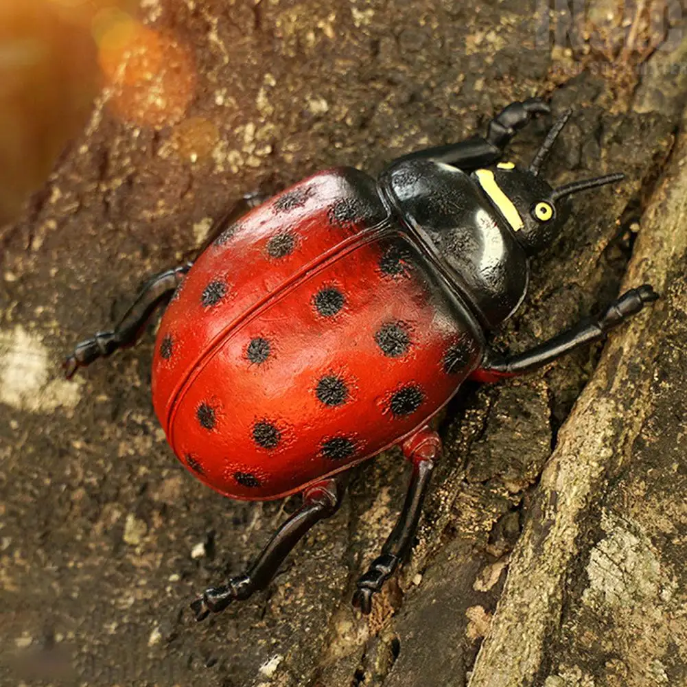 Simulation Insect Toys Rhinoceros beetle Ladybug Stag Science Doll beetle Insect Toy Animals Education Model toys Prank L8E6
