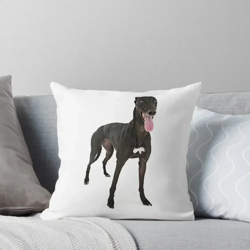 

black greyhound Throw Pillow Room decorating items Cushions Cover luxury sofa pillows Pillowcases Cushion Covers Sofa pillow