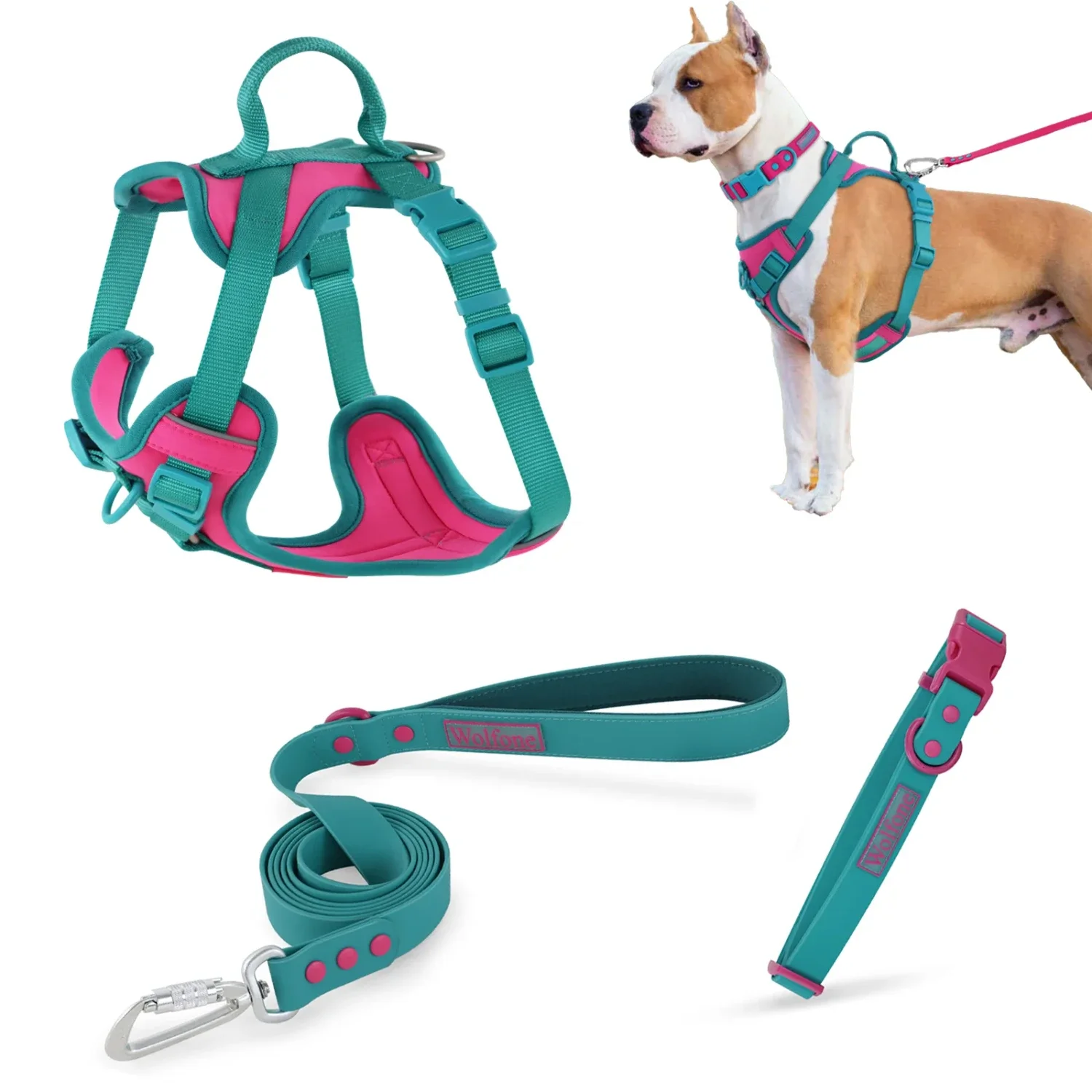 Enhance the Experience with this Luxurious Premium Stylish Adjustable Chest Strap Dog Leash and Collar Set in Splicing Colors -