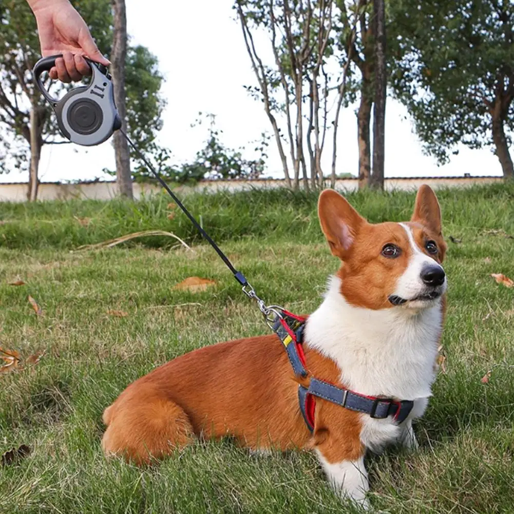 5m Dog Leash Retractable Roulette Collar For Small Big Dogs Accessories Adjustable Walking Hiking French Bulldog Rope