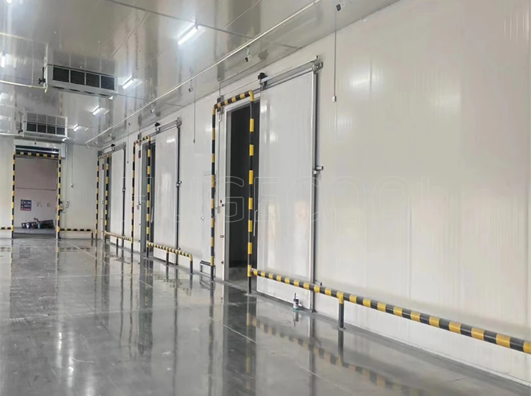 Conservazione personalizzata della stanza fredda ad alta efficienza Camminata nel congelatore Sala di congelamento per pesci, frutta e verdura