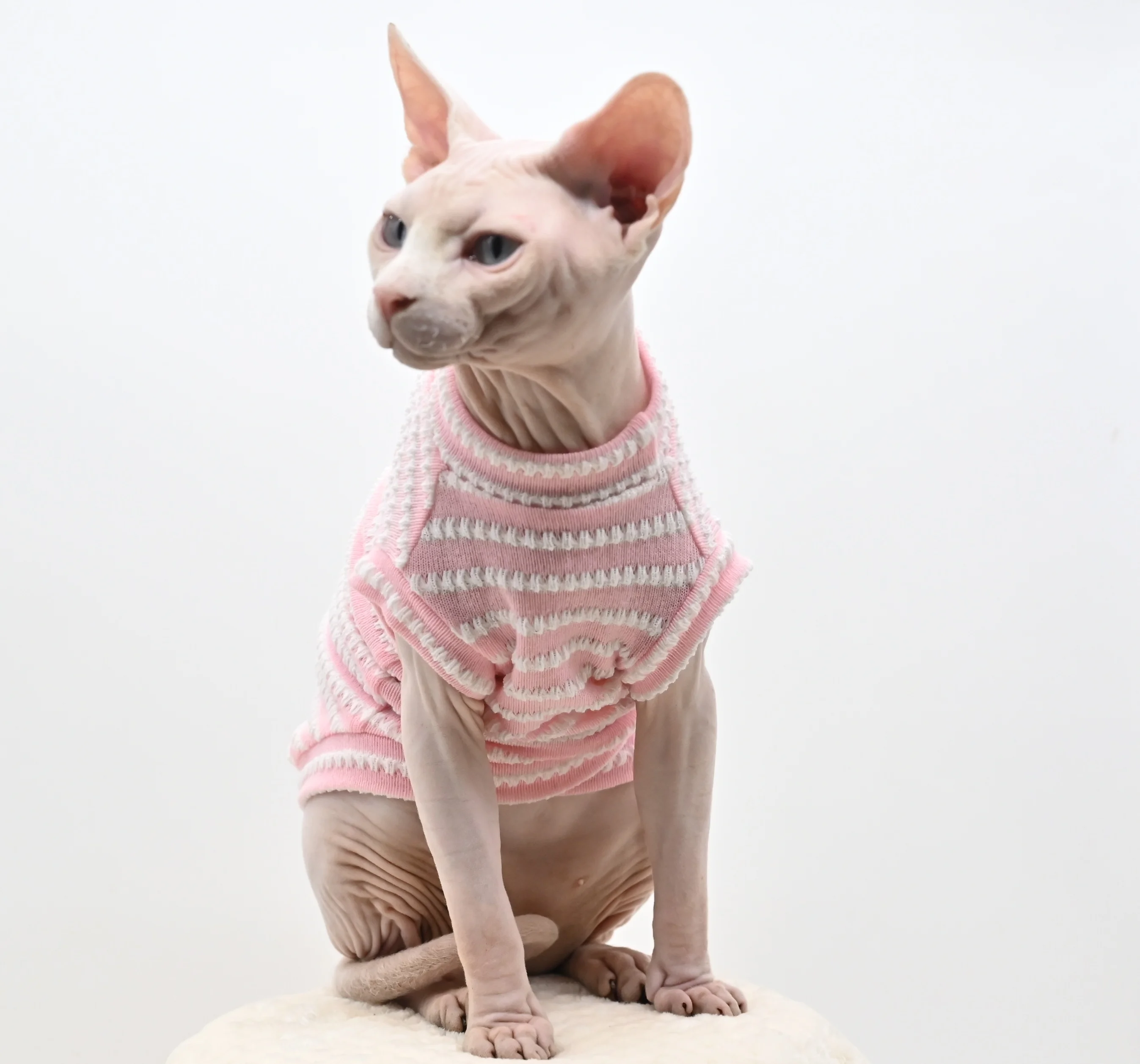 Sphynx Cat Clothes Hairless Cat Clothes Cat Summer Pure Cotton Skin-friendly Close-fitting Cat Clothing for Small Cats and Dogs