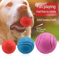 Solid Elastic Ball Toy Training Teddy Golden Retriever Chewing Ball Medium and Large Dog Chewing Resistant Molar Pet Toy Ball