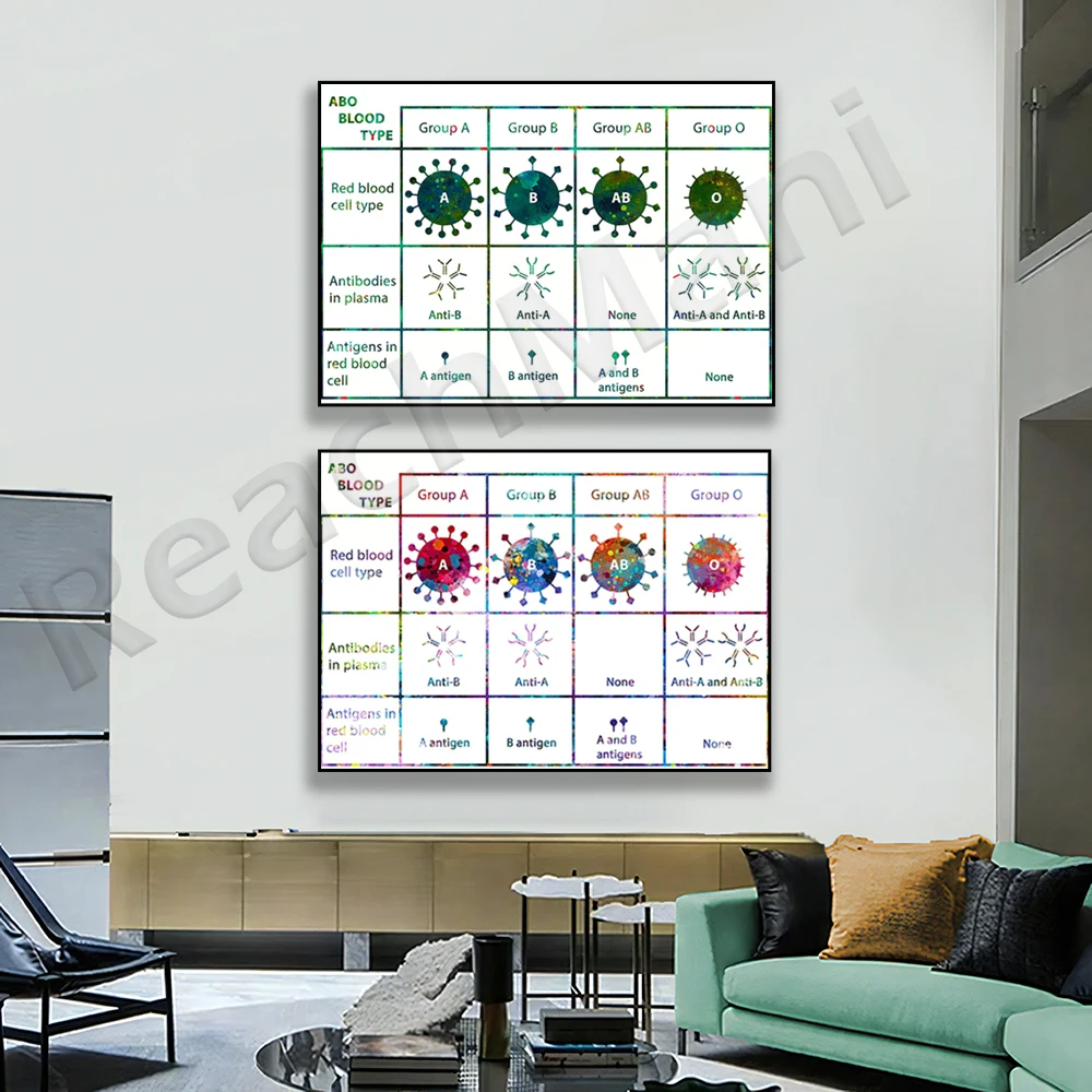 Hematology human anatomy watercolor print, ABO blood type diagram biology poster clinic decoration, medical art print