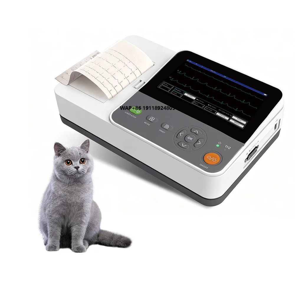 Pet animal veterinary electrocardiogram machine