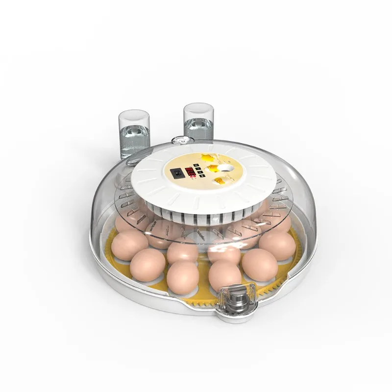 

Incubadora De Huevos Automatic Egg Incubator 220V Hatching Eggs