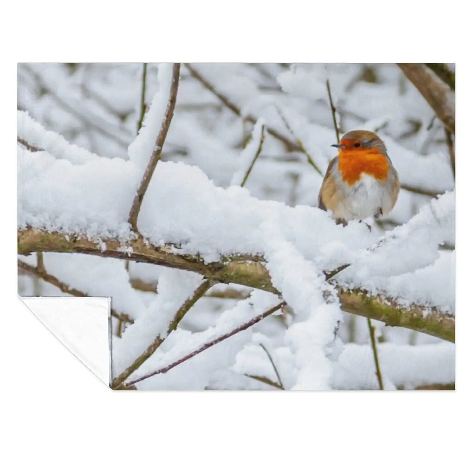 

Snow-bound Robin Throw Blanket Bed Fashionable Luxury Nap Summer Blankets