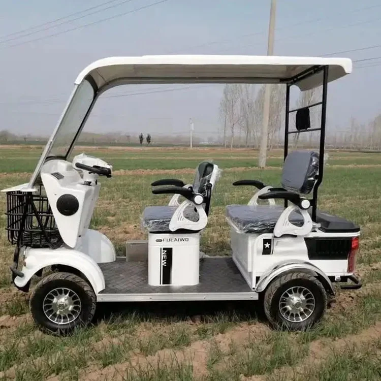 Customized Color Hot Selling New Energy Golf Cart 4 Seater Eco-Friendly Mini 4 Seat Electric Golf Cart