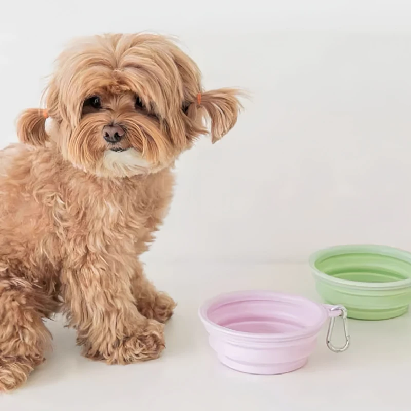 Pet Collapsible Silicone Bowl Outdoor Portable Dog & Cat Food Feeder Water Feeding Container with Carabiner Clip Pet Supplies