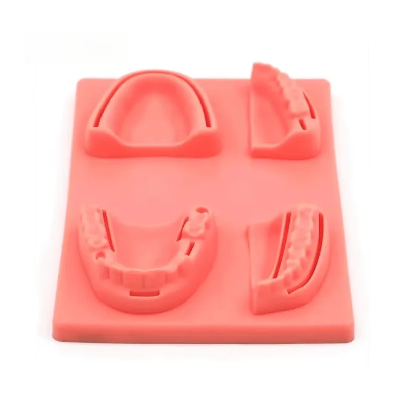 Medical Science Model Professional Grade Silicone Gum Care Suture Pad Silicone Periodontitis Dental Practice Suture Model