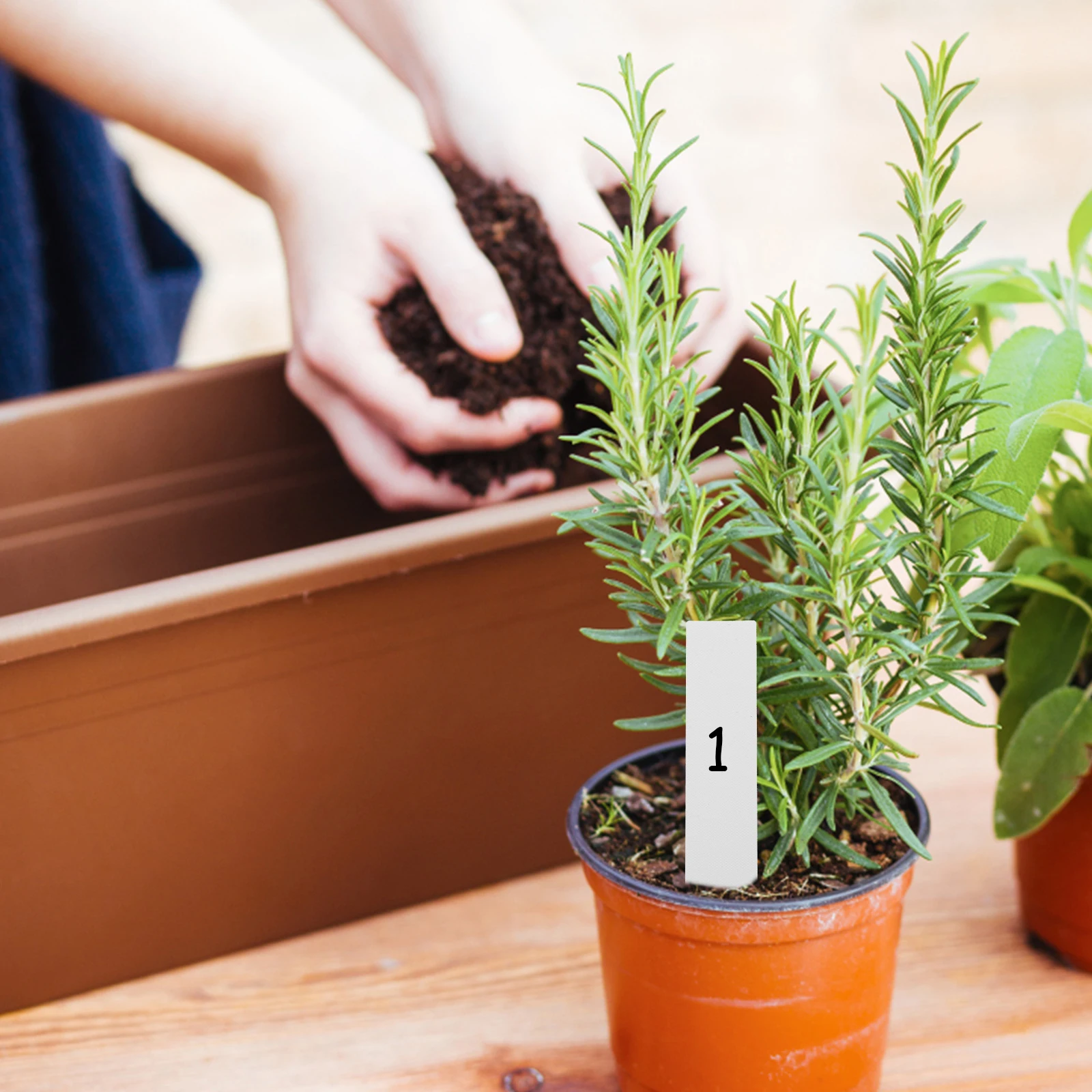 

2Set Succulent Planting Tools Kit Transplant Gardening Accessories Durable Multifunctional Bonsai Tool Pot Plant Tools Set