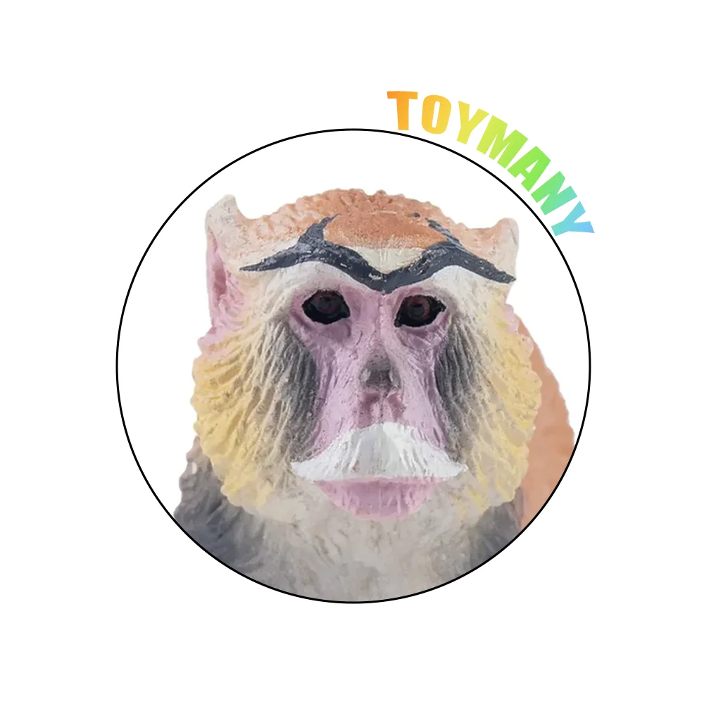 Toymany Simulation Patas Monkey Primate Animal Model Toy Mini Figures Dolls Action Figurines Toys Children Gift Cake Decora