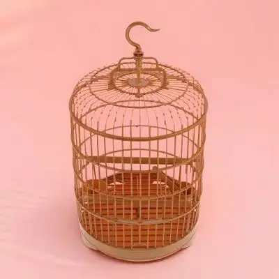 

Plastic Bird Cage 25CM Round Parrot Cage for Parakeets Cockatiel Budgie Standing Pole Hanging Hook Bottom Tray Pet Bird Home