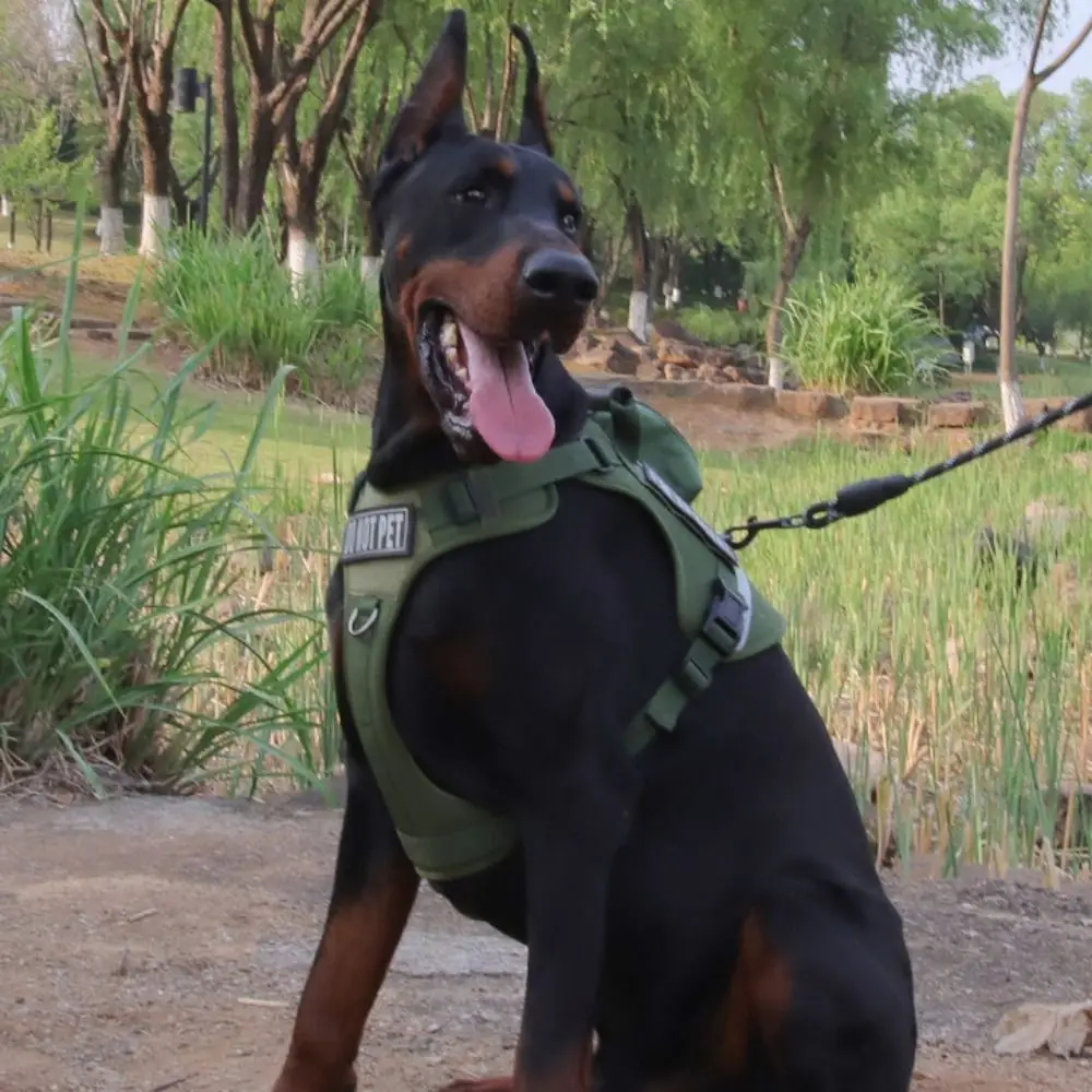 

Reflective Dog Leash Set Breathable No Pull Large Dog Harness Vest Adjustable Anti Escape Pet Chest Strap Travel