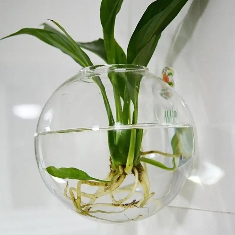 Transparent Glass Wall Mounted Vase Semi Circular Fish Tank Micro Landscape Ecological Bottle Plant Flower Pot Decoration