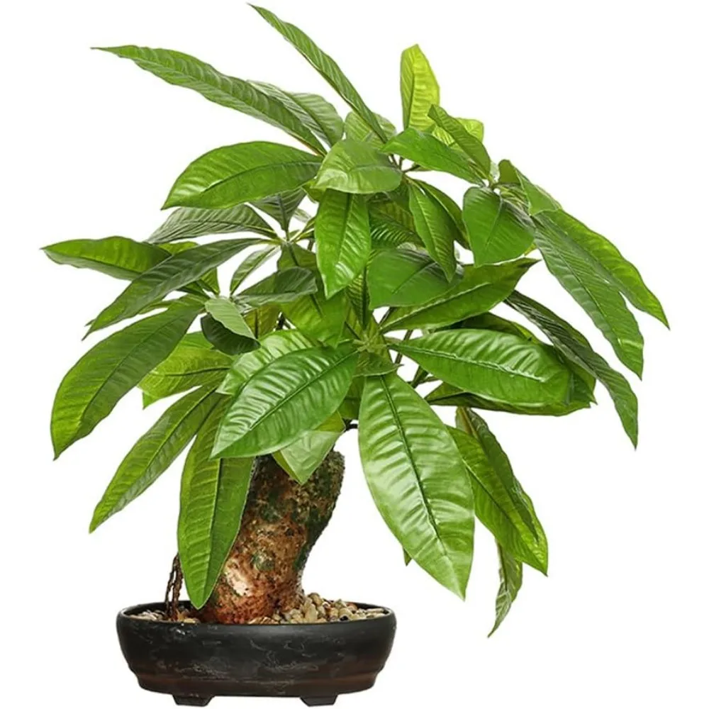 

16 Inch Fake Money Tree,Artificial Money Tree Indoor Potted Plants,Faux Fortune Plant in Black Pot Good Luck