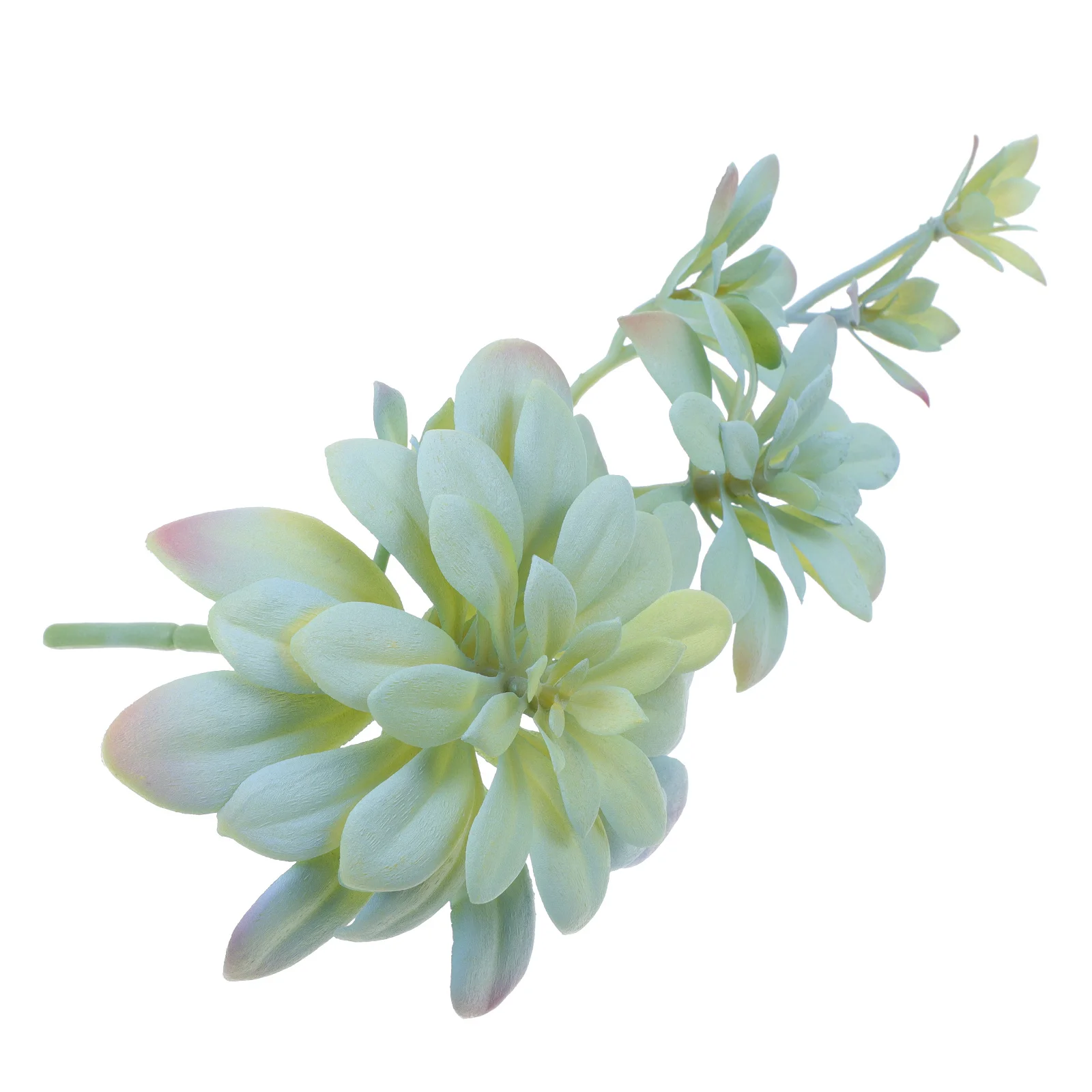 

1Pcs Realistic Succulent Decor Natural Color Transition Clear Texture Home Wedding Living Room Plant Adorn Photo Prop