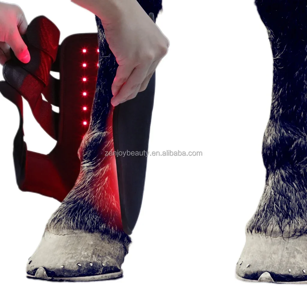 2024 Built in battery equine hood wrap led light therapy boots 660nm 850nm infrared light therapy pads for horse hoof