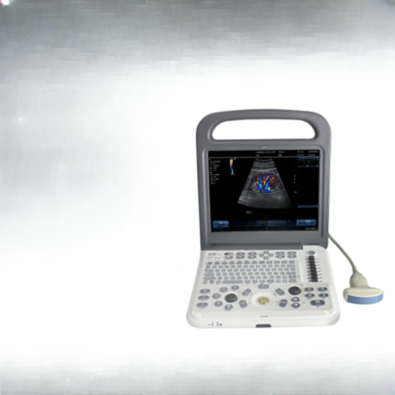 High definition images of Doppler color live egg sampler for pigs, cows, and sheep using animal B-ultrasound machine