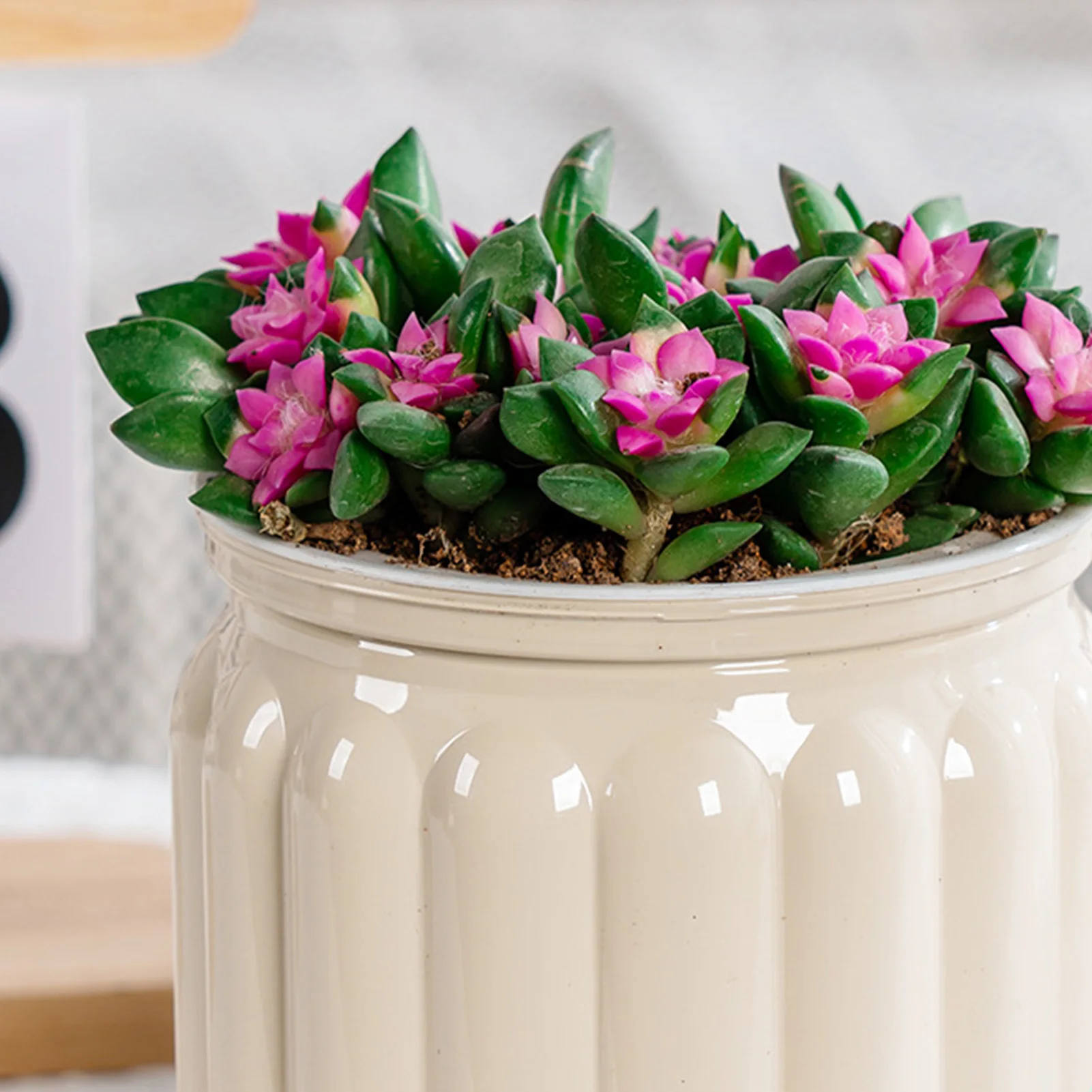 Elegant Modern Self Watering Planter 4