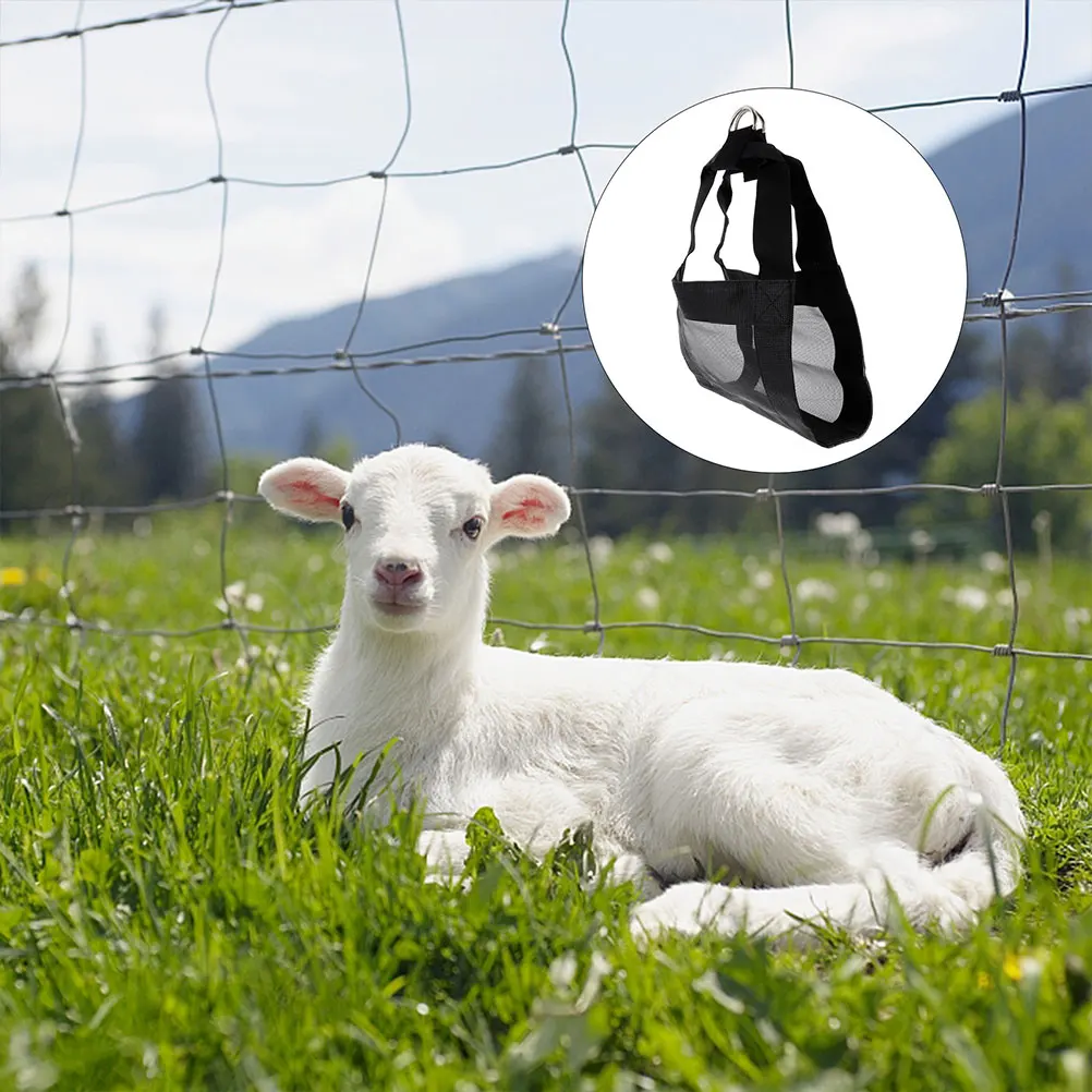 

2 Pcs Pet Sling Puppy Goat Calf Small Animal Weighing Scale Breathable Nylon Harness Dog Lifting Practical Design