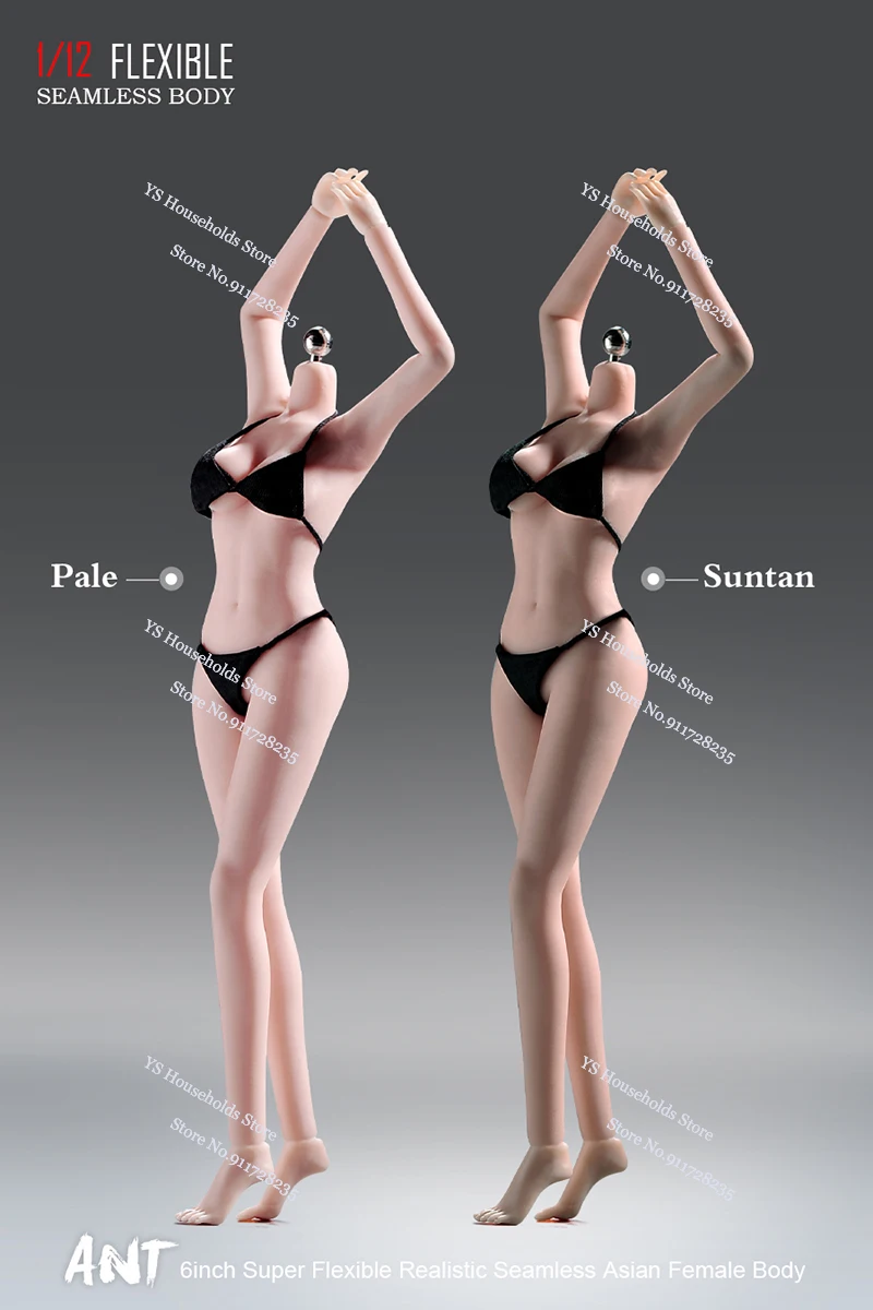 ANT 1/12 Flexible Semaless Asian Female Suntan White Body T305 Restored Highly Detailed Model Toys For 6