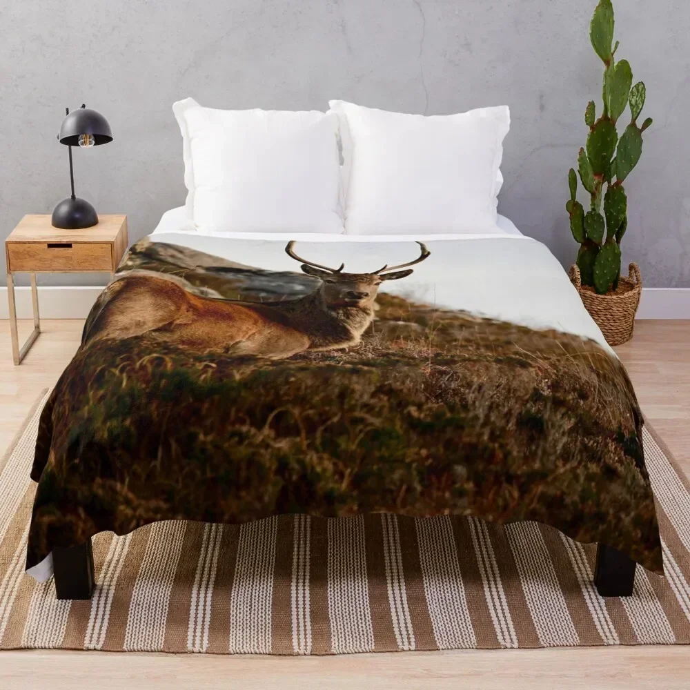 

Watching Buck Throw Blanket Flannel Fleece Soft Warm Throw Blanket