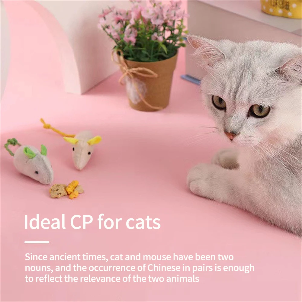 1/3/5PCS Mouse Toy Bite Resistance Pet Products New Kitten Toy Universal Pet Accessories Creative Cat Toy Interactive