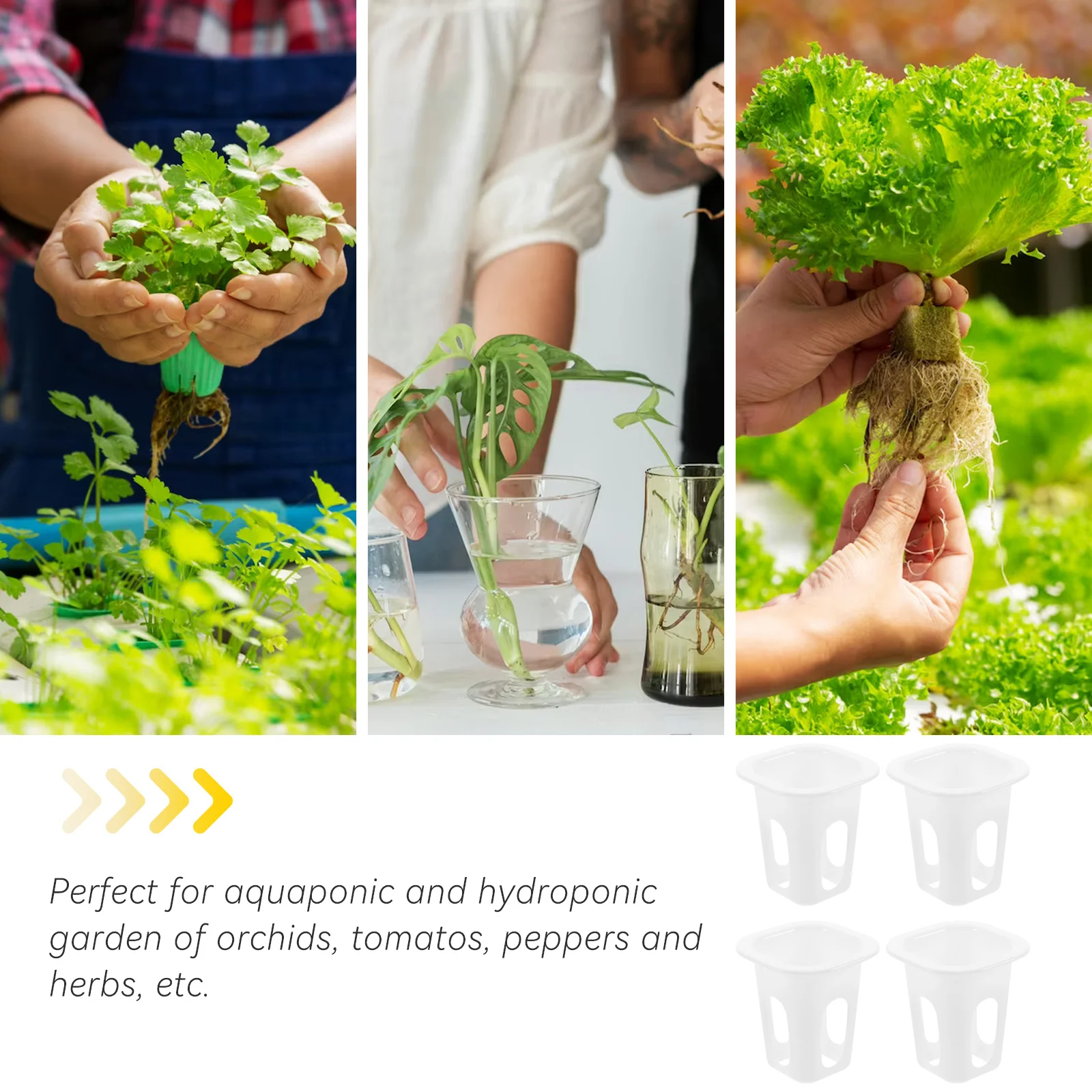 Cestas de plantio hidropônico de plástico pp quadrado, 50 peças para orquídeas, tomates, pimentas, vasos de cultura sem solo, copos de cultivo de vegetais