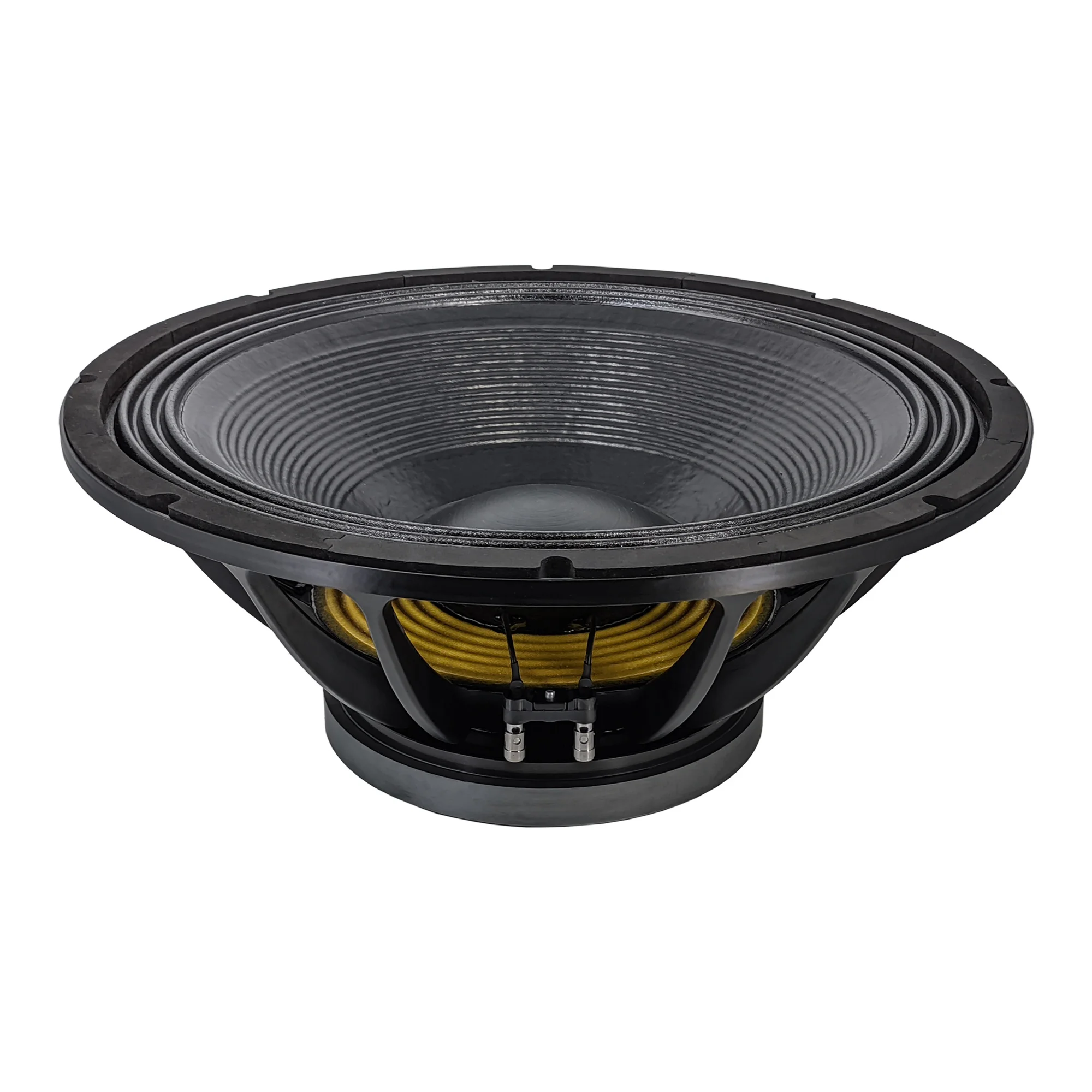 21 Inch Active Passive Pro Subwoofer Speaker 2500W RMS Double Spider 5 Inch Voice Coil for Outdoor Stage Performance