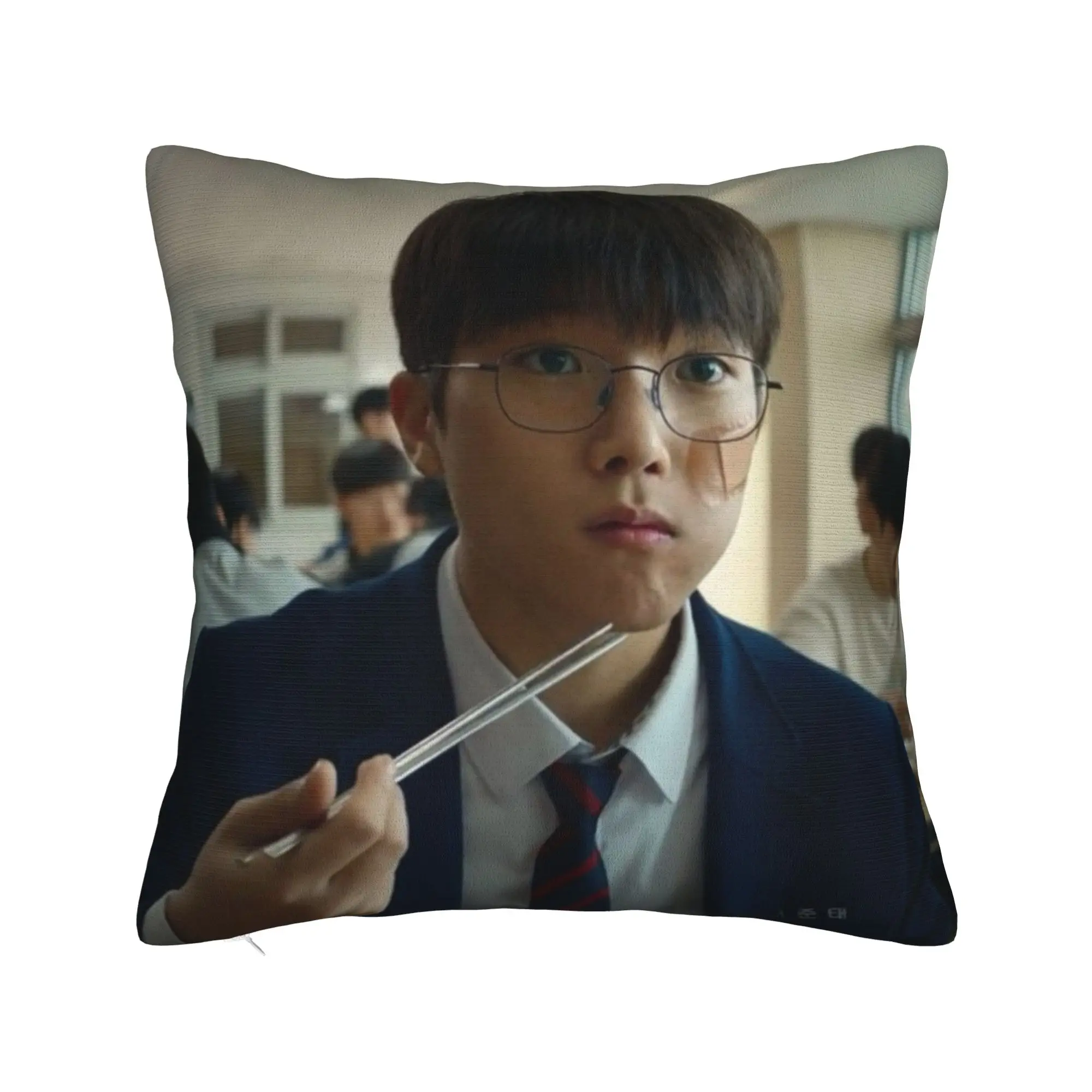 Hot Kdrama Weak Hero Class Pillow Case  Comfy Pillow Cover For Office Car Home Decor Kawaii Cushion Cover